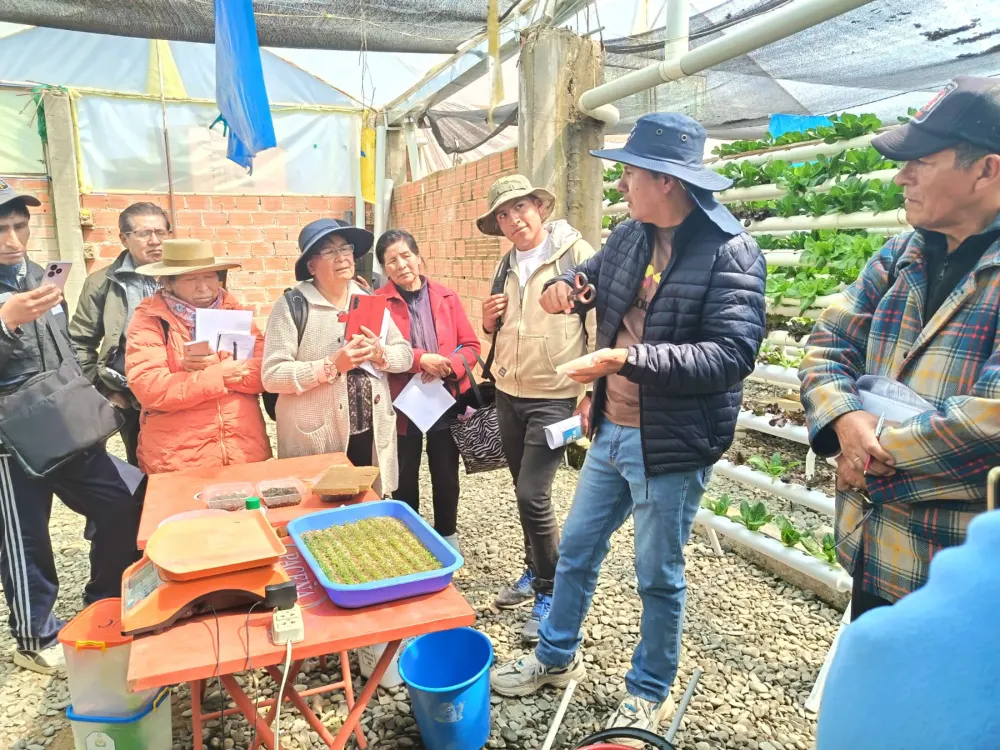 Estudiantes aprendiendo hidroponía con CIMA