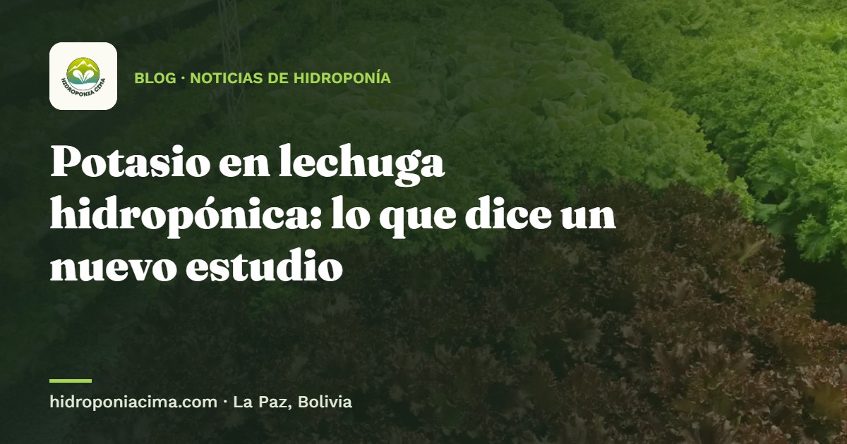 Potasio en lechuga hidropónica: lo que dice un nuevo estudio — Blog Hidroponía CIMA